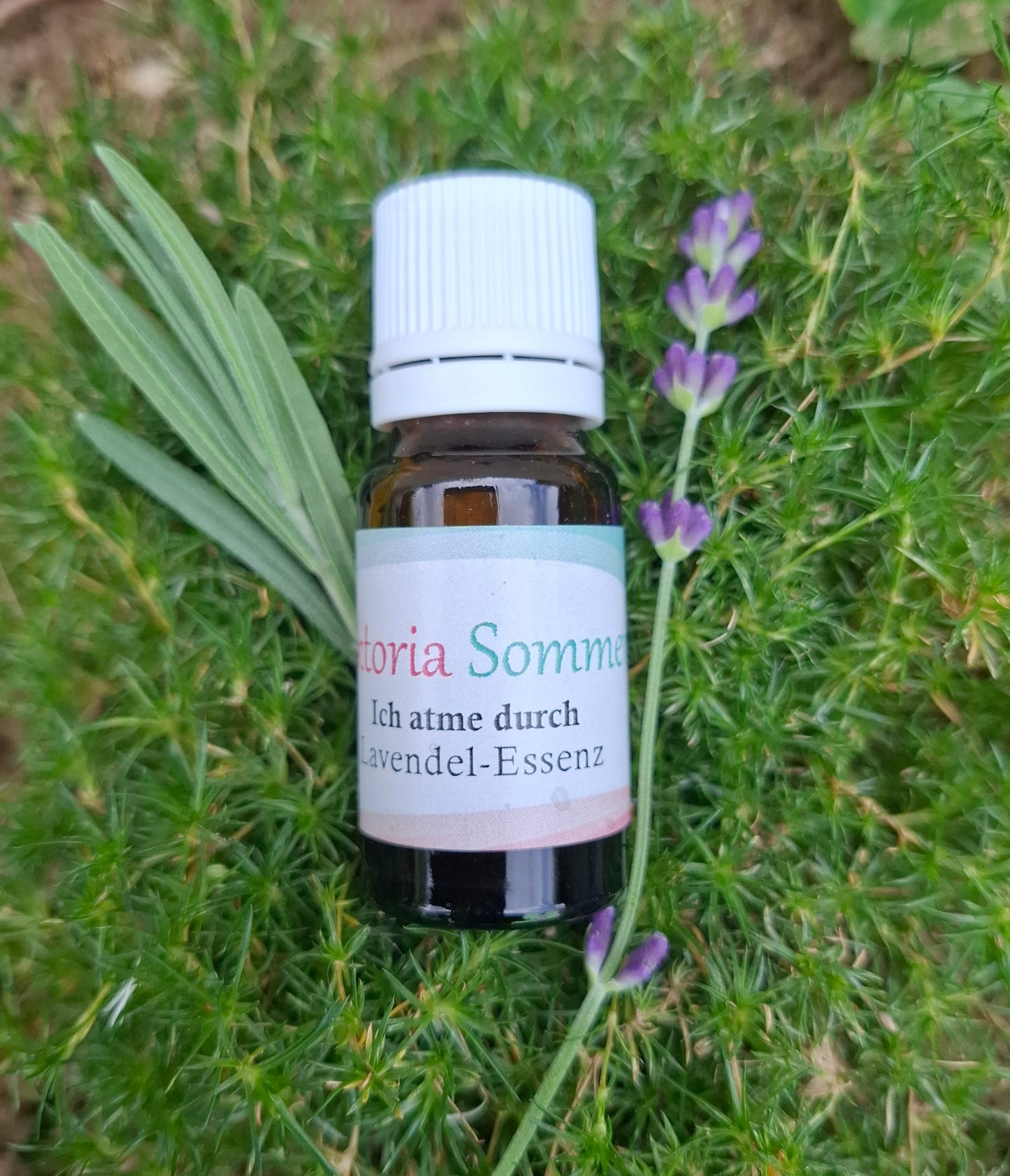 Lavendel-Essenz