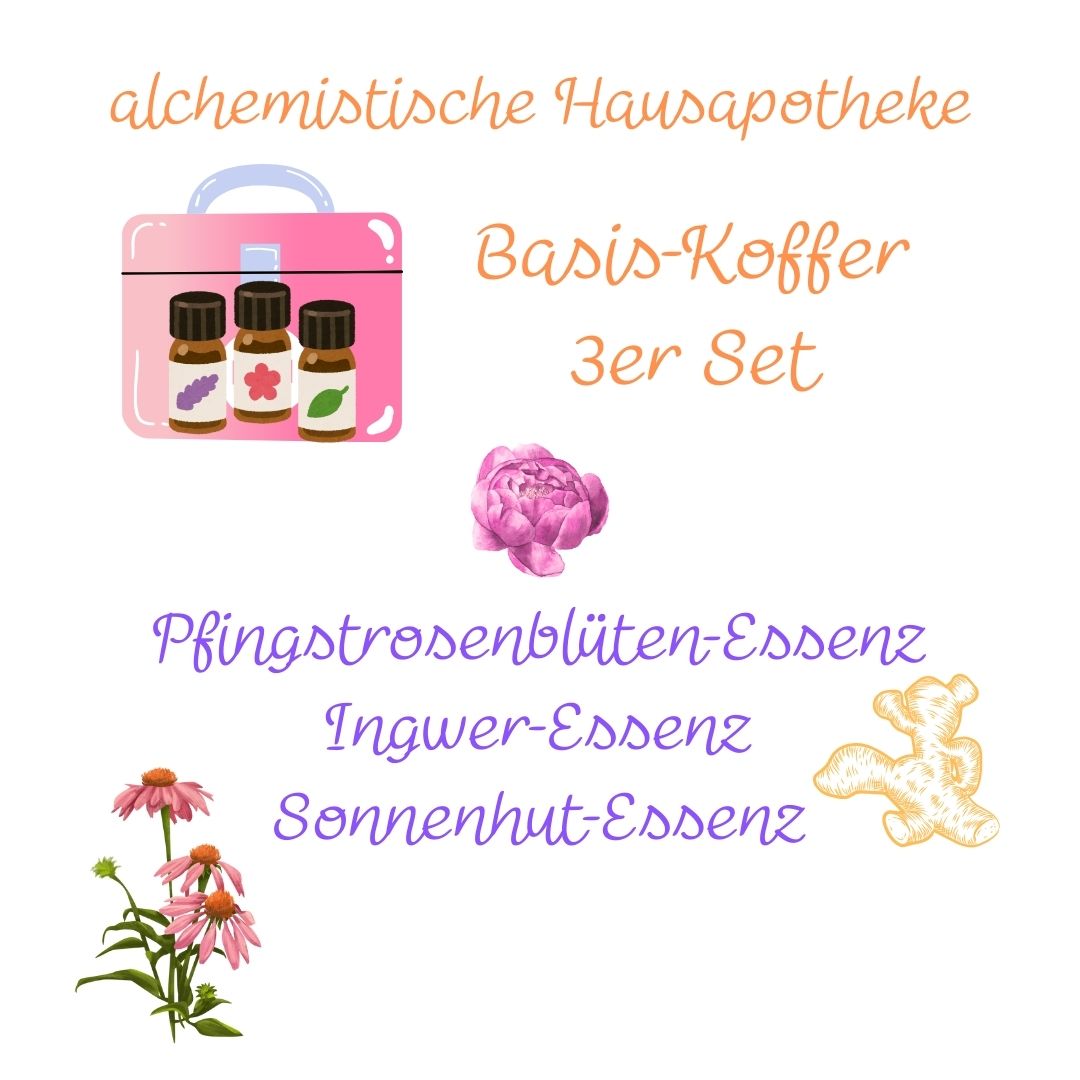 Basis Koffer - alchemistische Hausapotheke