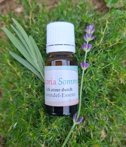Lavendel-Essenz
