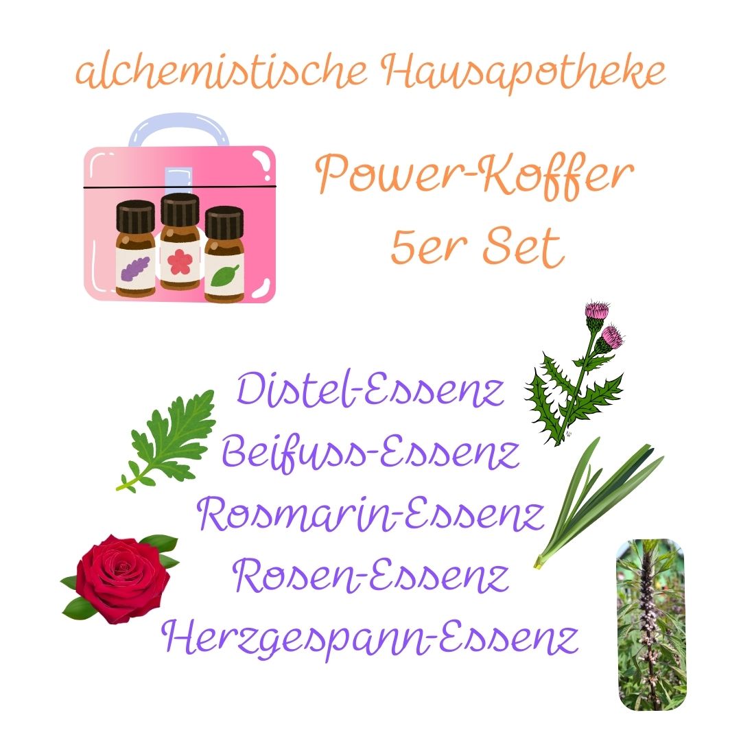 Power Koffer - alchemistische Hausapotheke