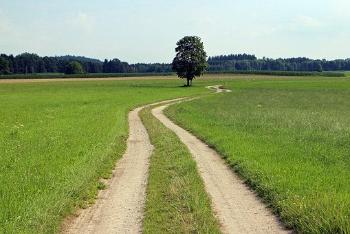 Alchemistische Wanderung der Weisheit